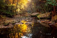 Kentucky Seasons